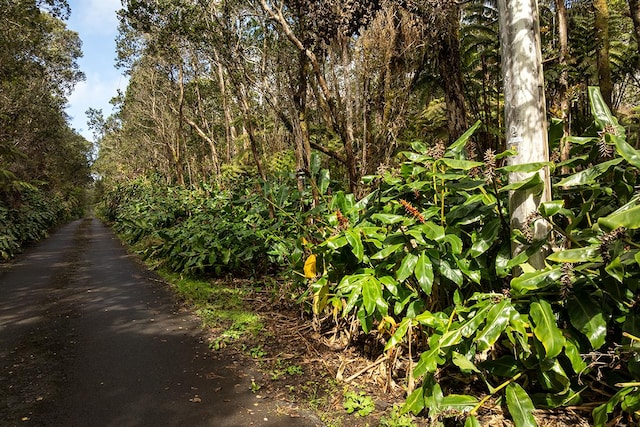 9th St, Volcano, HI 96785