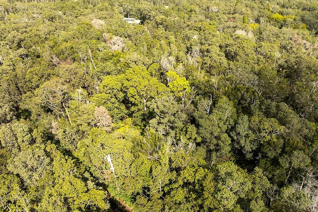 9th St, Volcano, HI 96785