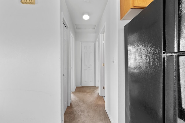 16-2095 Hibiscus Dr, Pahoa, HI 96778 - hall with light carpet and attic access