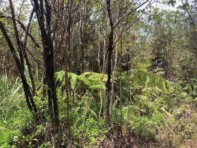 Moho Rd, Mountain View, HI 96760