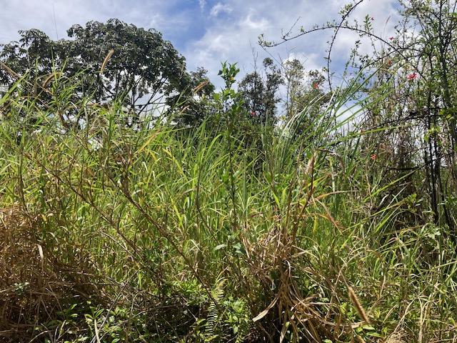 Moho Rd, Mountain View, HI 96760