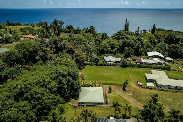 27-414 Old Mamalahoa Hwy, Papaikou, HI 96781 - photo 21