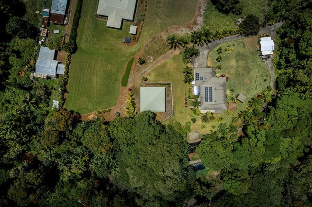 27-414 Old Mamalahoa Hwy, Papaikou, HI 96781 - photo 24