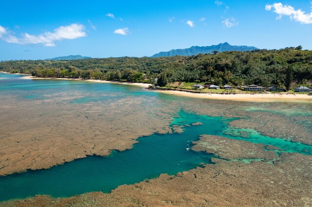 4059 Anini Rd, Kilauea, HI 96754 - water view featuring a mountainous background and a heavily wooded area