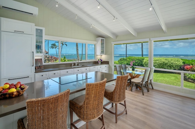 4059 Anini Rd, Kilauea, HI 96754 - sunroom / solarium featuring track lighting and an AC wall unit
