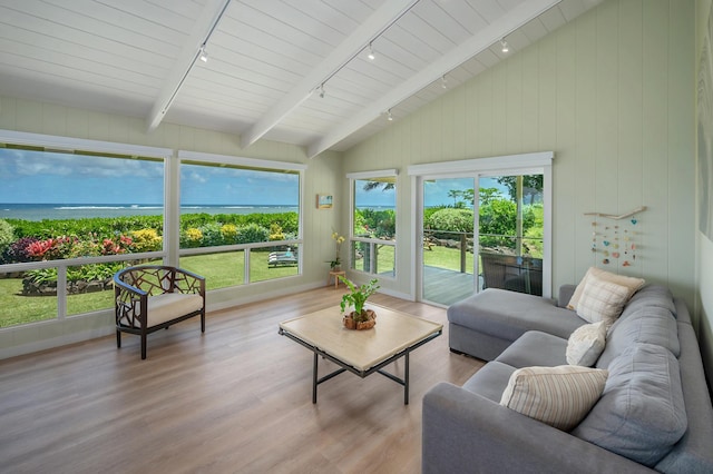 4059 Anini Rd, Kilauea, HI 96754 - living room with track lighting, wood finished floors, and vaulted ceiling