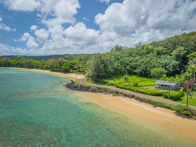 4059 Anini Rd, Kilauea, HI 96754 - drone / aerial view of a heavily wooded area and nearby beach
