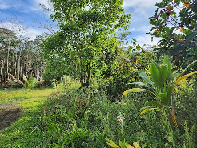 14-3332 Lehua Rd, Pahoa, HI 96778