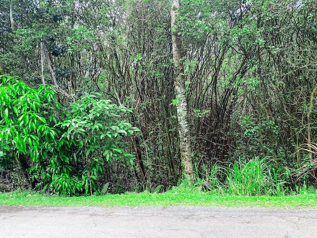 12-4293 Ocean View Pkwy, Pahoa, HI 96778