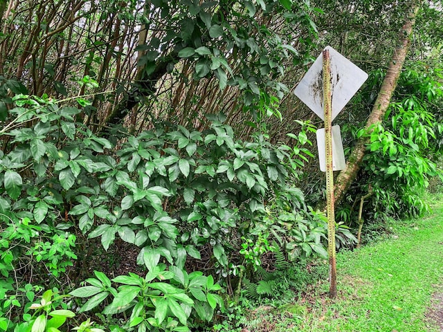 12-4293 Ocean View Pkwy, Pahoa, HI 96778