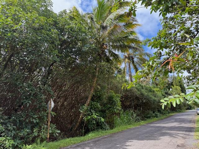 12-4293 Ocean View Pkwy, Pahoa, HI 96778 - photo 3