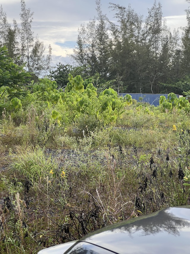 15-1702 1st Ave, Keaau, HI 96749