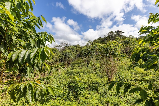 Kailua-Kona, HI 96725