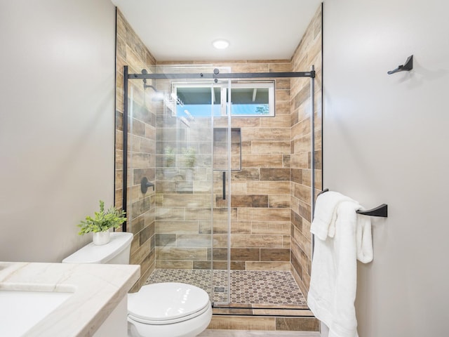 15-2047 9th Ave, Keaau, HI 96749 - full bath featuring toilet, a shower stall, and vanity
