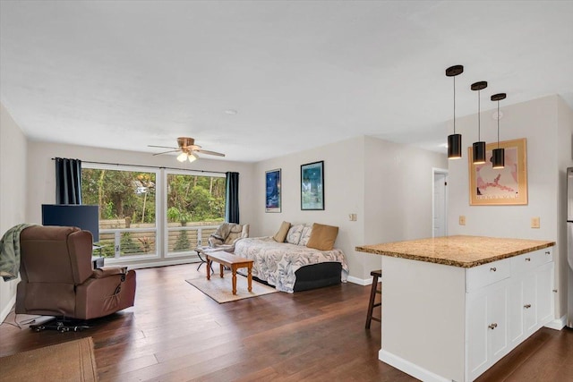 14-882 Kehau Rd, Pahoa, HI 96778 - bedroom with dark wood-style flooring, baseboards, access to outside, and ceiling fan