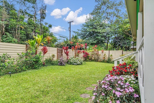 14-882 Kehau Rd, Pahoa, HI 96778 - view of yard
