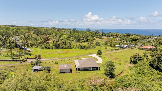 27-525 Kalaoa Camp Rd, Papaikou, HI 96781 - photo 29