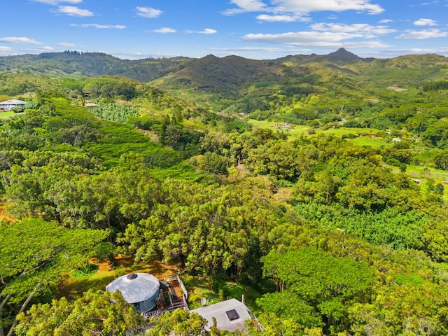 3215-C Wawae Rd, Kalaheo, HI 96741 - view of mountain backdrop featuring a forest