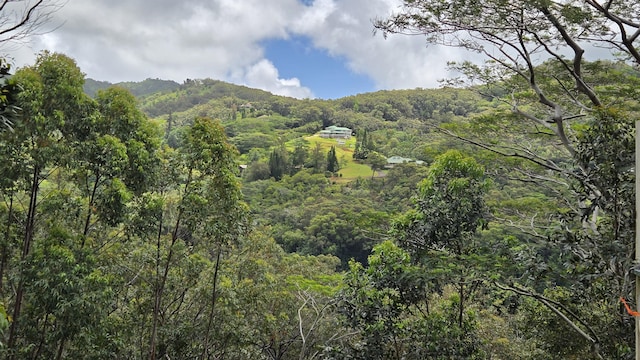 3215-C Wawae Rd, Kalaheo, HI 96741 - view of mountain background with a heavily wooded area