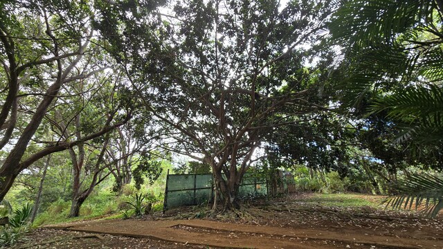 3215-C Wawae Rd, Kalaheo, HI 96741 - view of yard
