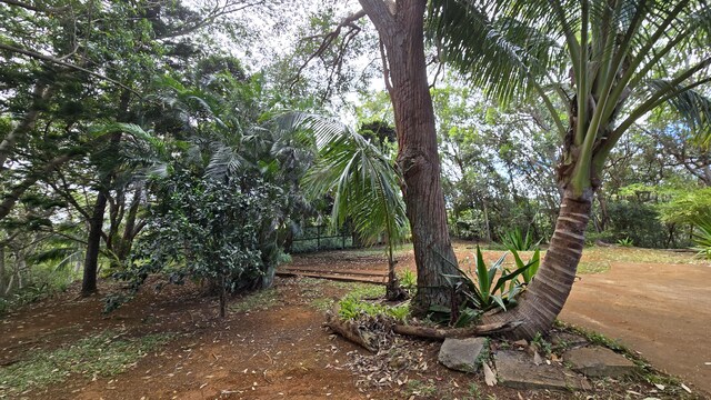 3215-C Wawae Rd, Kalaheo, HI 96741 - view of yard