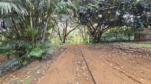 3215-C Wawae Rd, Kalaheo, HI 96741 - view of yard