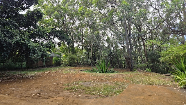 3215-C Wawae Rd, Kalaheo, HI 96741 - view of yard