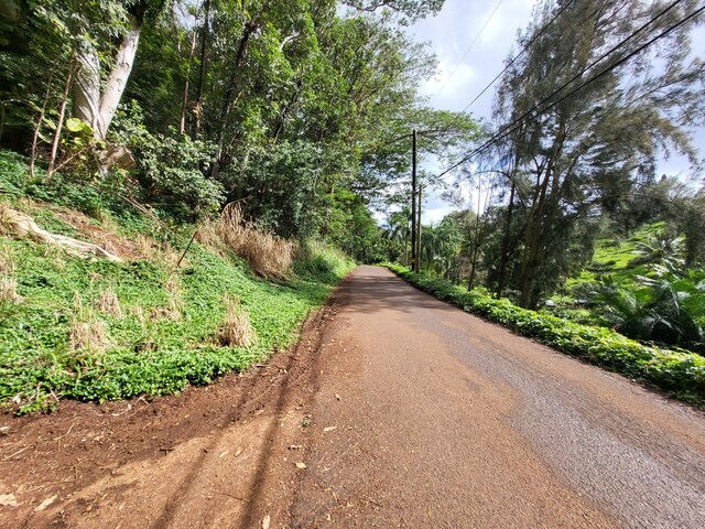 3215-C Wawae Rd, Kalaheo, HI 96741 - view of road
