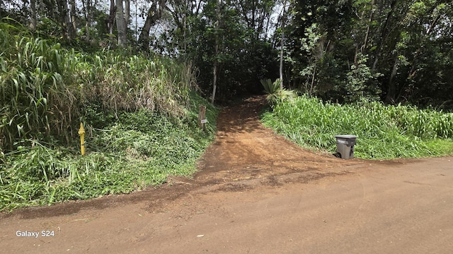3215-C Wawae Rd, Kalaheo, HI 96741 - view of road
