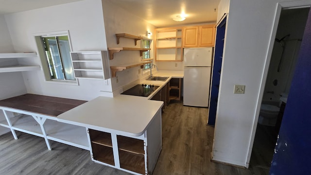 3215-C Wawae Rd, Kalaheo, HI 96741 - kitchen with freestanding refrigerator, open shelves, light brown cabinets, dark wood-type flooring, and light countertops