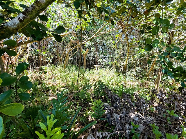 15-1701 Beach Rd, Keaau, HI 96749
