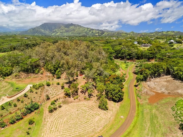 Kana St Unit 10D, Kapaa, HI 96746