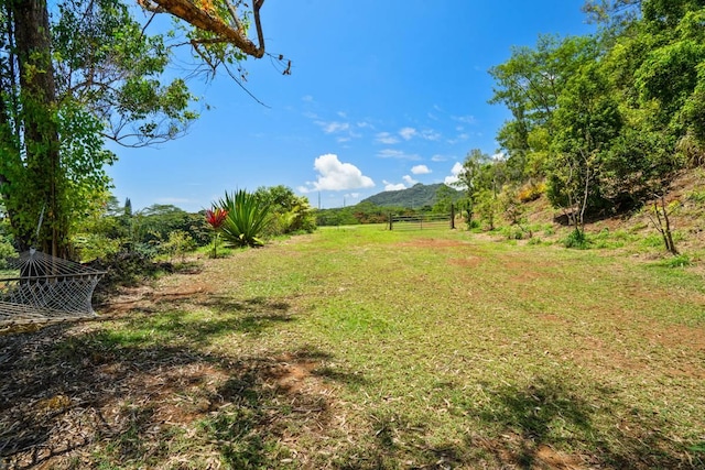 Kana St Unit 10D, Kapaa, HI 96746
