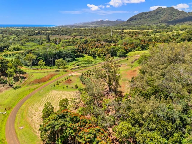 Kana St Unit 10D, Kapaa, HI 96746