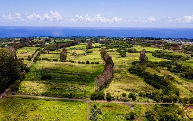 28-583 Kaupakuea Homestead Rd, Pepeekeo, HI 96783
