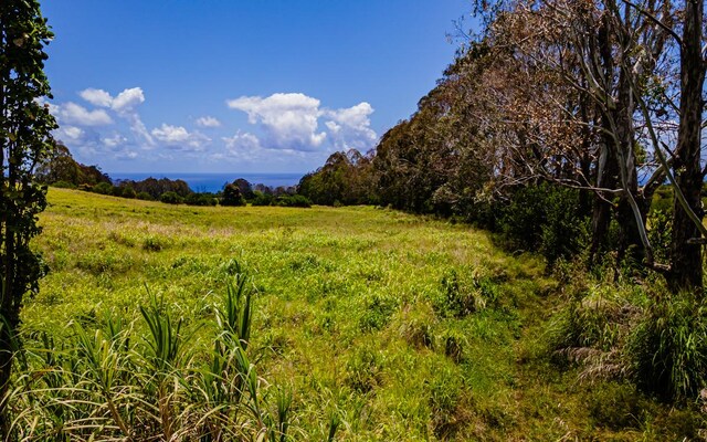 28-583 Kaupakuea Homestead Rd, Pepeekeo, HI 96783