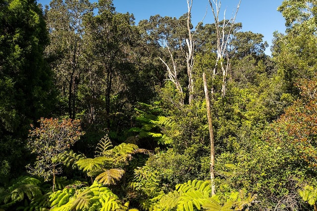 Haunani Rd, Volcano, HI 96785