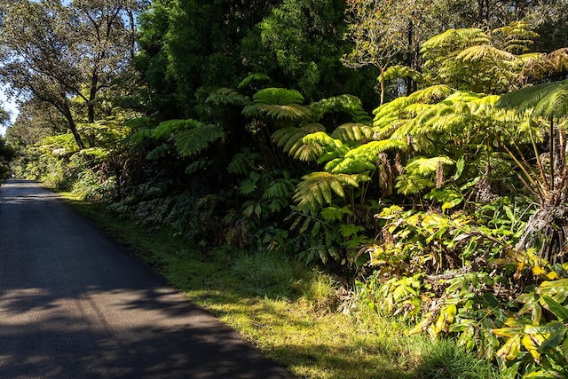 Haunani Rd, Volcano, HI 96785