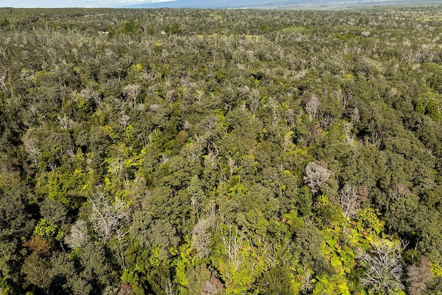 Haunani Rd, Volcano, HI 96785