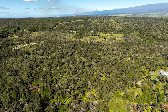 Haunani Rd, Volcano, HI 96785