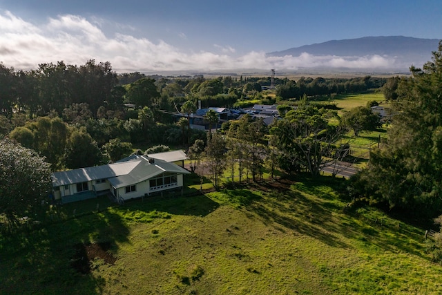 64-798 Mamalahoa Hwy, Kamuela, HI 96743 - photo 27