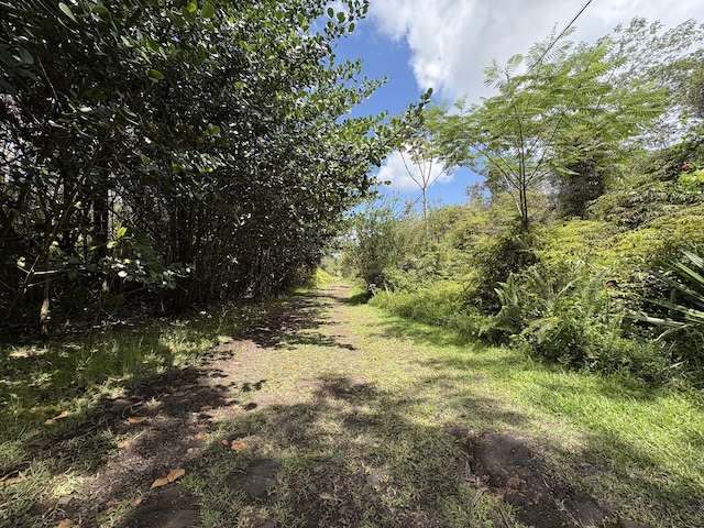 16-1432 Poouli Rd, Kurtistown, HI 96760 - photo 1