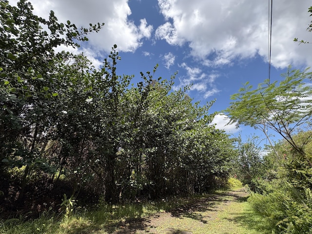 16-1432 Poouli Rd, Kurtistown, HI 96760 - photo 3