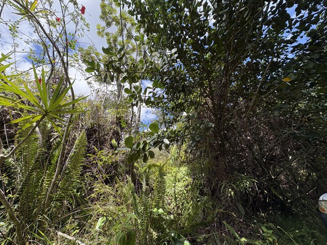 16-1432 Poouli Rd, Kurtistown, HI 96760 - photo 4
