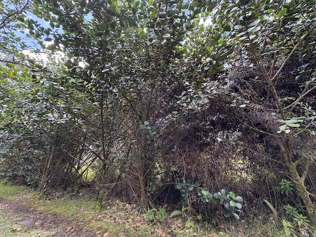 16-1432 Poouli Rd, Kurtistown, HI 96760 - photo 5