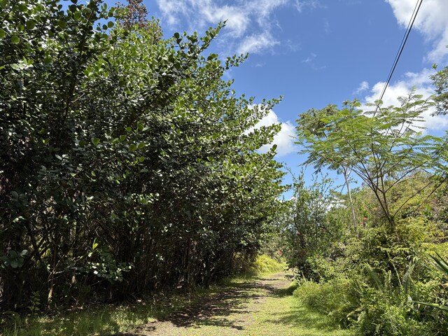 16-1432 Poouli Rd, Kurtistown, HI 96760 - photo 6