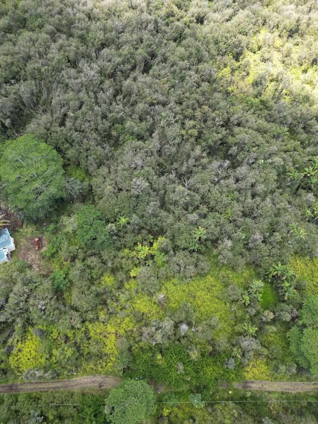 16-1432 Poouli Rd, Kurtistown, HI 96760 - photo 9