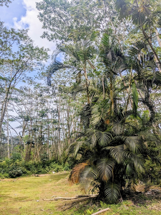 Pakalana Rd, Pahoa, HI 96778