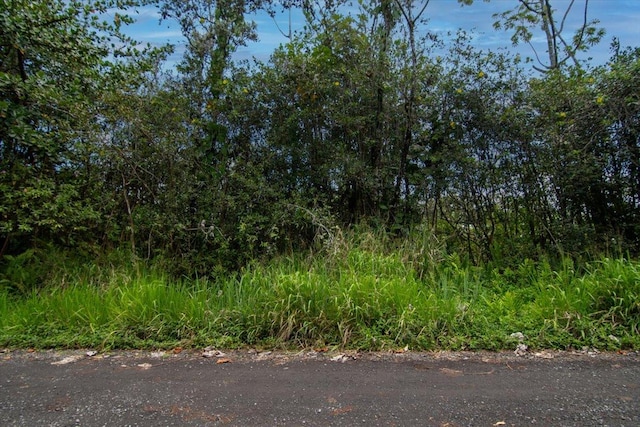 10th Ave, Keaau, HI 96749