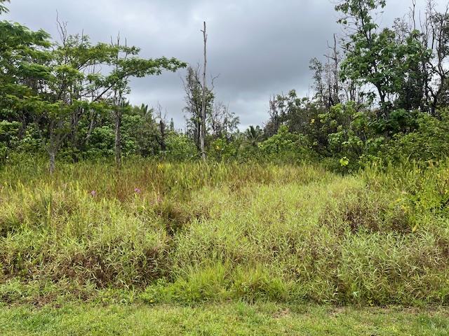 Lawaianui St, Pahoa, HI 96778 - photo 2